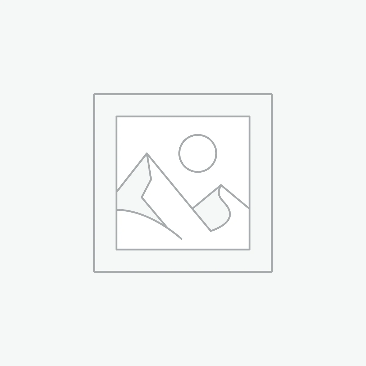 موتور سیکلت مسابقه ای